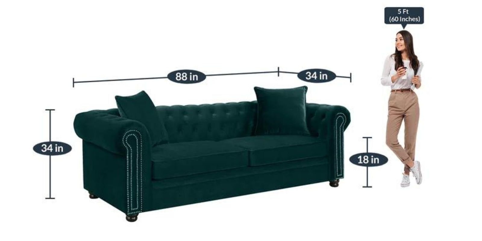 Perceptive 3 Seater Sofa in Green Colour by Dreamzz Furniture